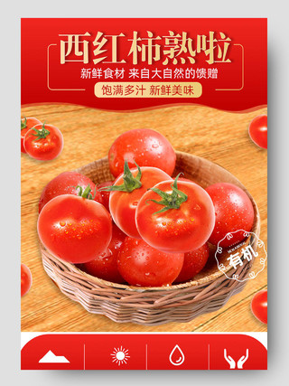 红色简约小番茄西红柿熟啦夏季水果蔬菜详情页